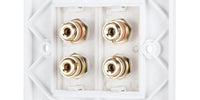 Speaker Faceplate/Wall Outlet - Red & Black, Gold Plated Binding Post Connectors - Accepts Banana Plugs & Speaker Cable (2 x Speaker Faceplate (4 Terminals))