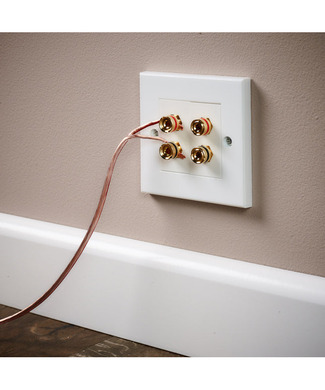 Speaker Faceplate/Wall Outlet - Red & Black, Gold Plated Binding Post Connectors - Accepts Banana Plugs & Speaker Cable (2 x Speaker Faceplate (4 Terminals))