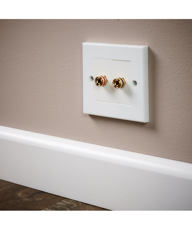 Speaker Faceplate/Wall Outlet - Red & Black, Gold Plated Binding Post Connectors - Accepts Banana Plugs & Speaker Cable (1 x Speaker Faceplate (2 Terminals))