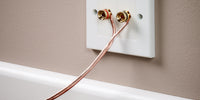 Speaker Faceplate/Wall Outlet - Red & Black, Gold Plated Binding Post Connectors - Accepts Banana Plugs & Speaker Cable (1 x Speaker Faceplate (2 Terminals))