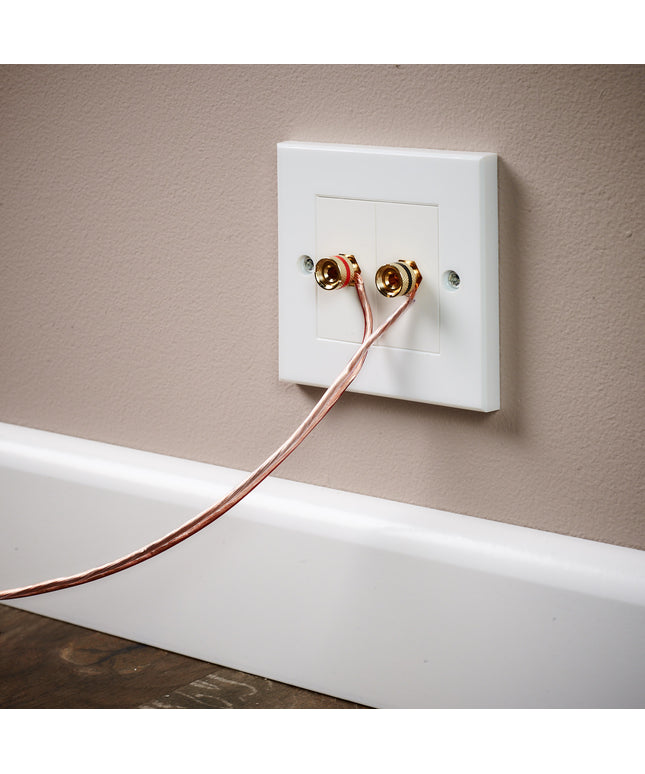 Speaker Faceplate/Wall Outlet - Red & Black, Gold Plated Binding Post Connectors - Accepts Banana Plugs & Speaker Cable (1 x Speaker Faceplate (2 Terminals))
