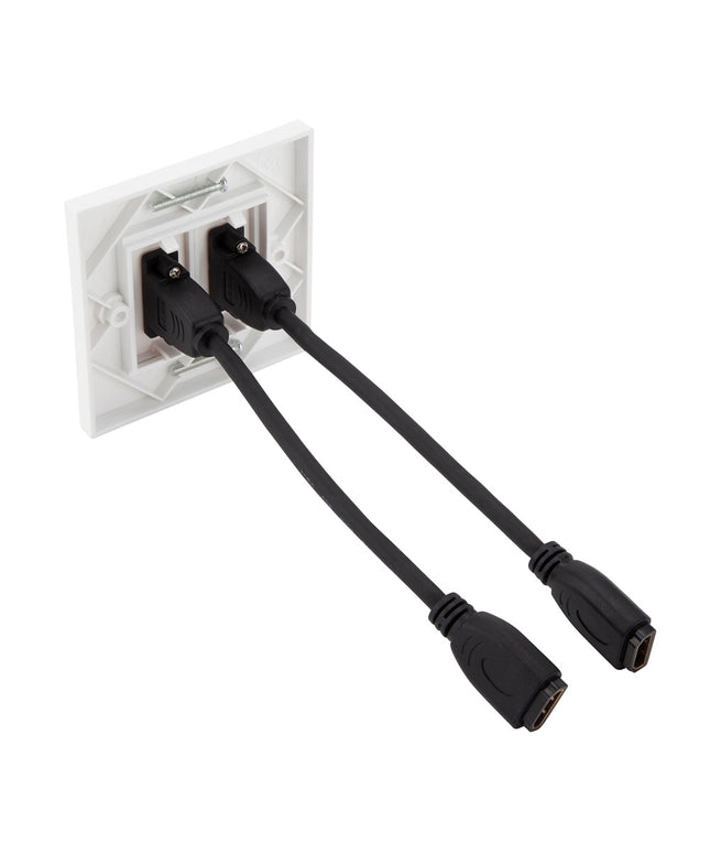 HDMI Modular Faceplate/Wall Outlet (2 x HDMI Port)