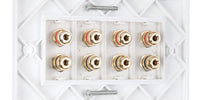 Speaker Faceplate/Wall Outlet - Red & Black, Gold Plated Binding Post Connectors - Accepts Banana Plugs & Speaker Cable (4 x Speaker Faceplate (8 Terminals))