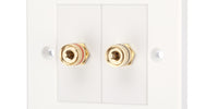 Speaker Faceplate/Wall Outlet - Red & Black, Gold Plated Binding Post Connectors - Accepts Banana Plugs & Speaker Cable (1 x Speaker Faceplate (2 Terminals))