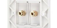 Speaker Faceplate/Wall Outlet - Red & Black, Gold Plated Binding Post Connectors - Accepts Banana Plugs & Speaker Cable (1 x Speaker Faceplate (2 Terminals))